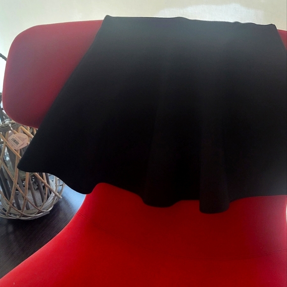 BCBG Sexy Mini Skirt - Picture 3 of 4